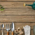 gardening tools every beginner needs