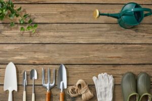 Gardening Tools Every Beginner Should Own