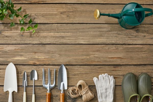 gardening tools every beginner needs