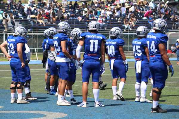 what is a blitz in american football